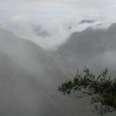 Zé do Caroço - SEU JORGE