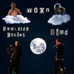 Moon x Bird (prod. Amine)