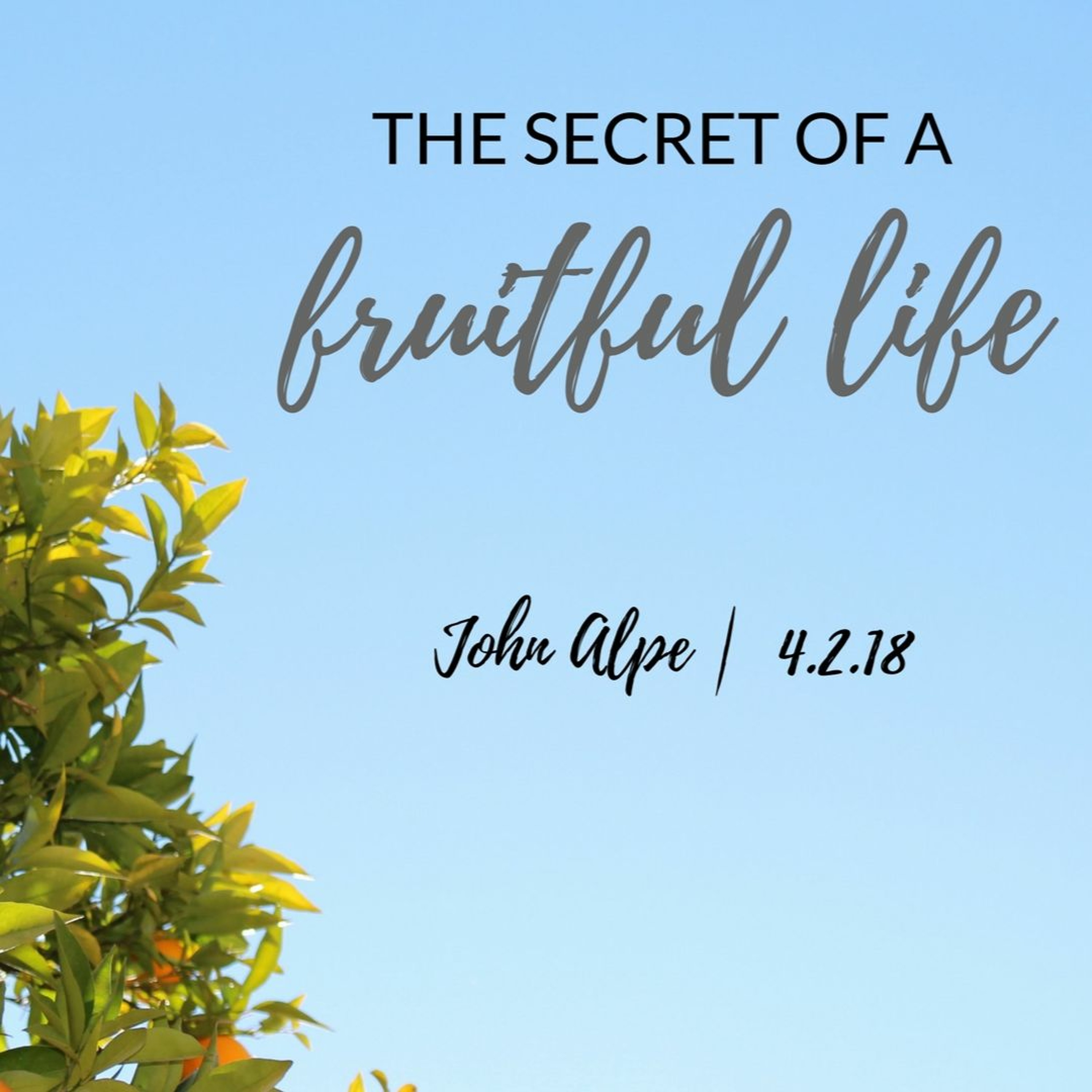 2018-02-04 John Alpe - The secret to a fruitful life episode artwork