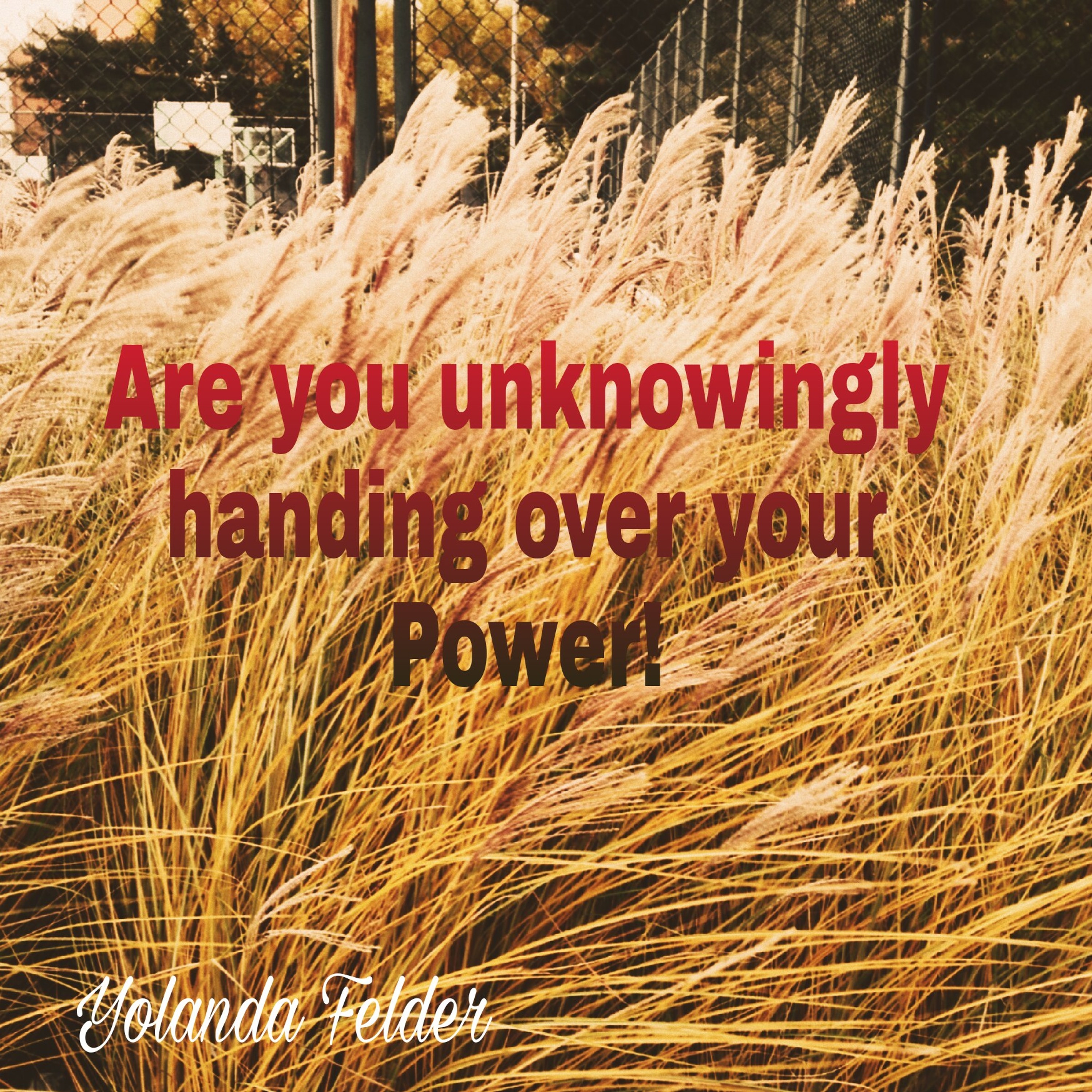 Are you unknowingly handing over your Power