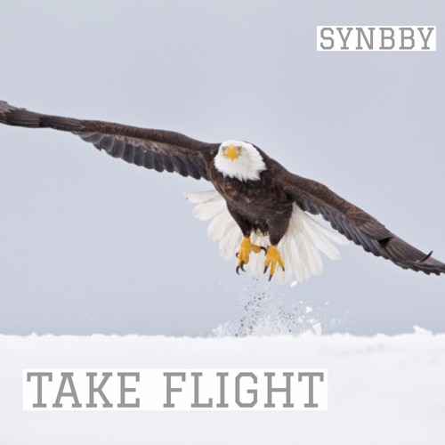 TAKE FLIGHT
