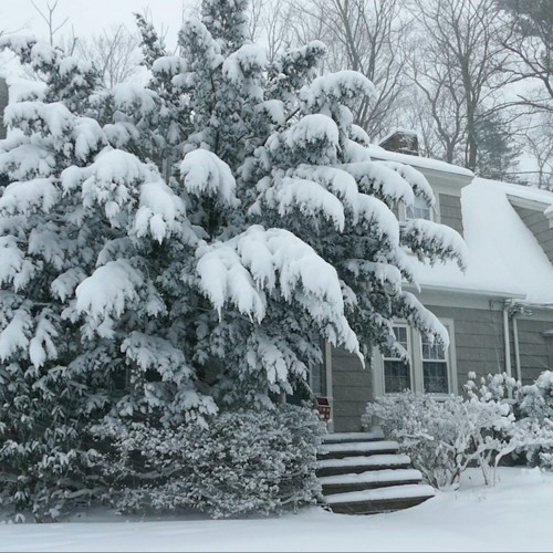 Winter Cabin in a Snowstorm for Sleeping, Relaxation, Meditation, Chillout or Study