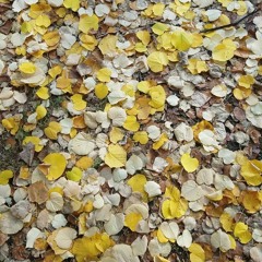 Every Morning (Unmastered)