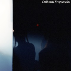 Flux Vol. 22: Tape Ghost (For Cult Freq)