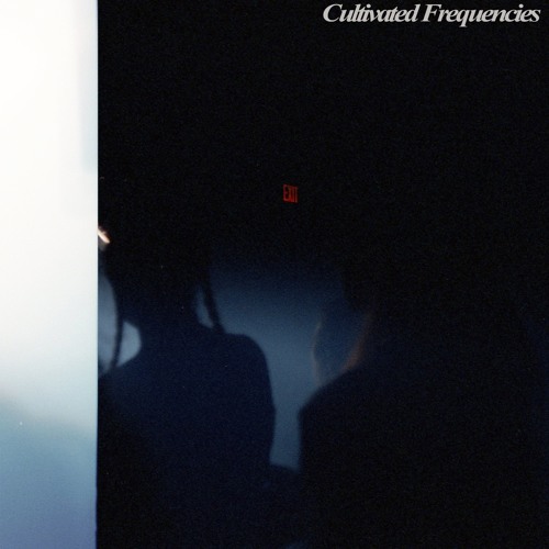 Flux Vol. 22: Tape Ghost (For Cult Freq)