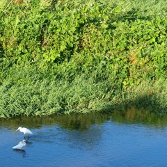 「潮干狩り」LIVE ＠ Nega-Posi ”ひかりの地平線” 2017.12.26