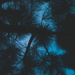 Demi Lovato - Body Say (sxvl remix)