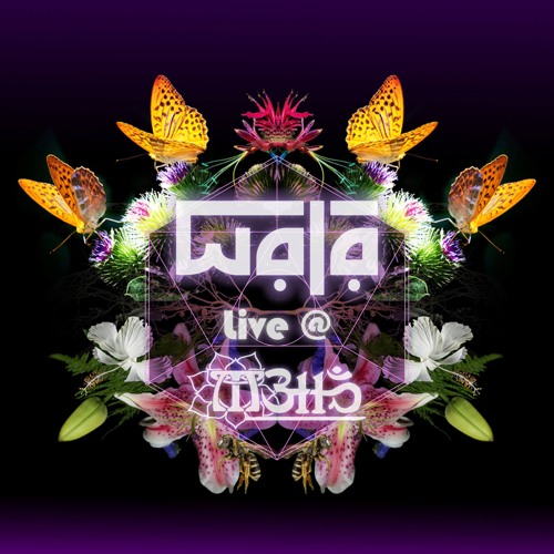 WALA Live at Metta with the Desert Dwellers