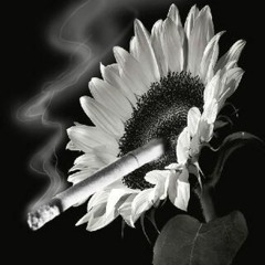 Post Malone Big Lie Cover