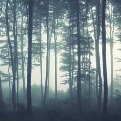 Forest Sound Design