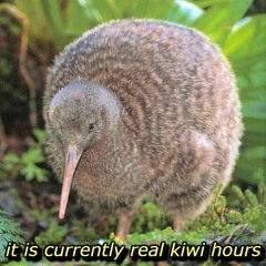 it is currently real kiwi hours