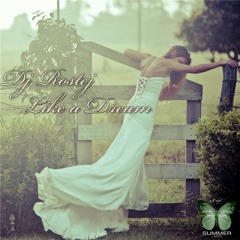 Romantic Night (Dj Rostej Remix)