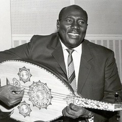 عذاري الـــحي