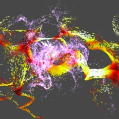 ANDY KOHLMANN - NA TA SCHI