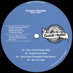 SB PREMIERE: Cosmic Garden - Now I Feel(Trinidadian Deep Remix)[Cosmic Rhythm]