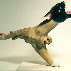 ANDY KOHLMANN - MUSIKATERSTADL