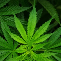 JUU - อารมณ์ต่ำ (Bass Down) New Single 2017