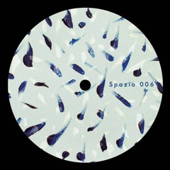 Spazio006 - Mike Parker & Donato Dozzy - Paramagnetism