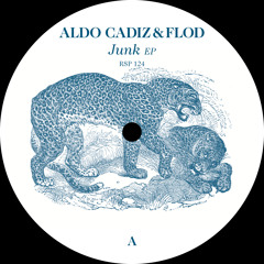 RSP 124 - ALDO CADIZ And FLOD - JUNK - VINYL  SNIPPET