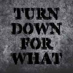 Upon a burning body - Turn down for what (Metal) // cover by dewavient