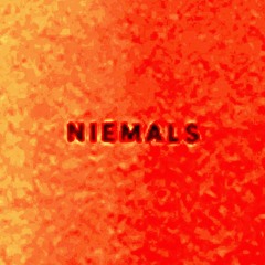 Die Nerven – Niemals