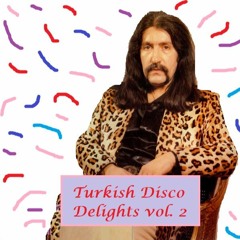 Turkish Disco Delights vol. 2