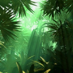 lost in Jahngle