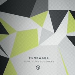 Funkware - Soul Consequences (Funkstuff Recordings)