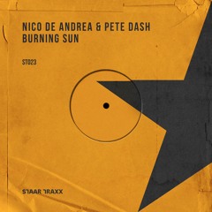 Nico de Andrea & Pete Dash - Burning Sun