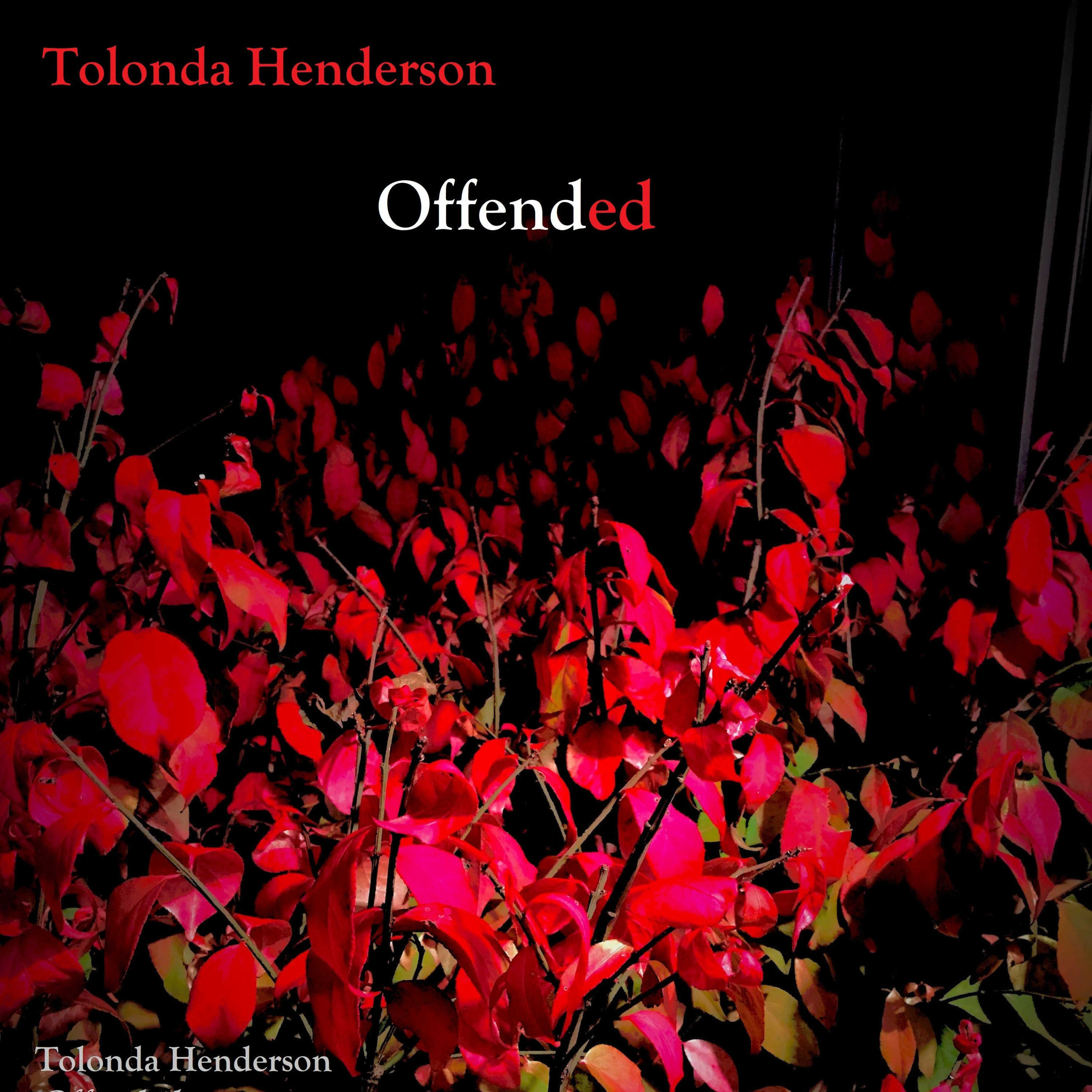 Fly By Tolonda Henderson episode artwork