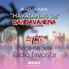 BANDAVANERA - HAVAIANAS 36