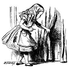 alice loops