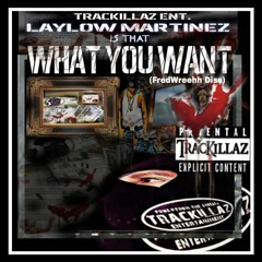 Is DISS What You Want (FredWreck Diss - Snoop, Eminem, Dr. Dre producer)