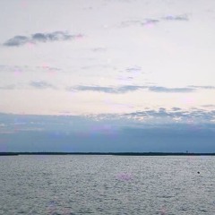 Bon Iver's The Wolves