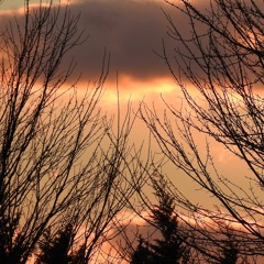 Oblong Transcendence