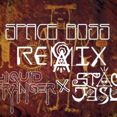 SPACE BOSS (OAM5 Remix)- Liquid Stranger x Space Jesus