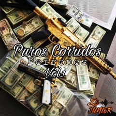Puros Corridos Perrones Vol.1 - Hijos De Garcia, El De La Guitarra, Aldo Trujillo, Arsenal Efectivo