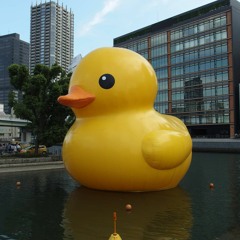 Assorted Bubberduckies