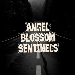 Angel Blossom Sentinels Look What You Mad Me Do Sweet Dream Remix Taylor Swift