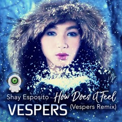 Shay Esposito - How Does It Feel (Vespers Remix)