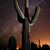 Artwork for OF THE DESERT