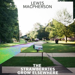 The Strawberries Grow Elsewhere
