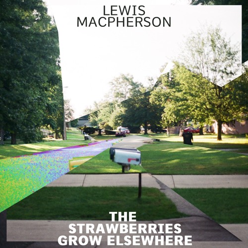 The Strawberries Grow Elsewhere