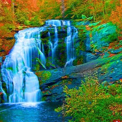 ✞✞✞ ////// - cellophane - ////// ✞✞✞