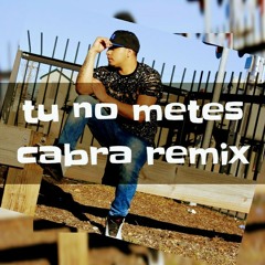 TU NO METES CABRA REMIX JK X R.A.Y