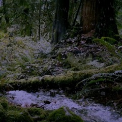 Thunderstorm and gentle Stream Sounds for Sleep, Relaxing, Meditation or Study
