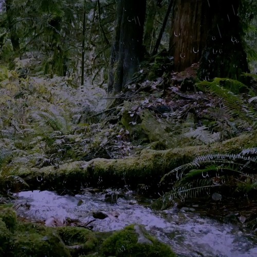 Thunderstorm and gentle Stream Sounds for Sleep, Relaxing, Meditation or Study