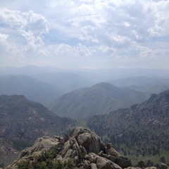 Organic Machine Free (prod. Rozz Dyliams) (feat. Coal Somn Apple)