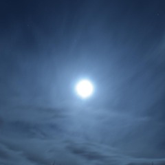 Morknagard - Absence