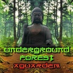 Nay - Underground Forest - Full On Groove set - 30.09.2017